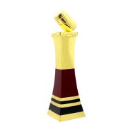 Clinch award cusotm