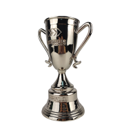 football fifa trophies​