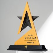 Excellent Team Trophy