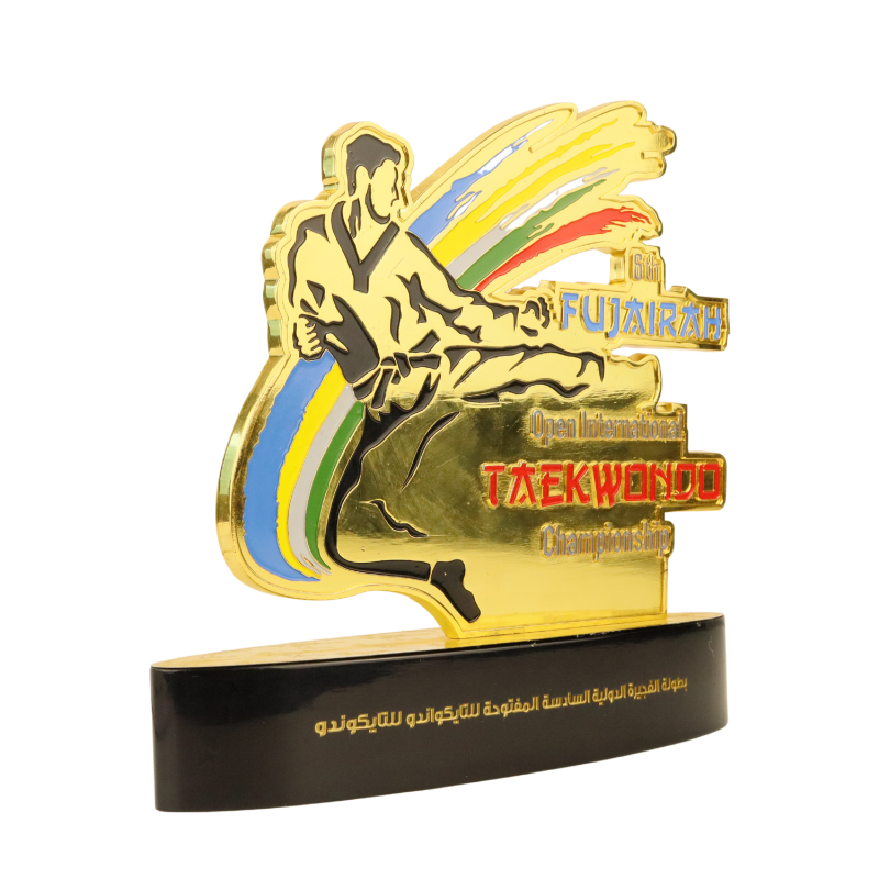Taekwondo trophy