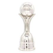 Cricket trophy