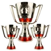 Champions League trophy custom