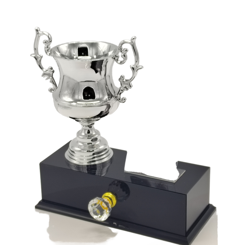 Company Race Souvenir Trophy