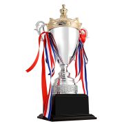 Sports trophy custom