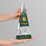 Outstanding supplier trophy