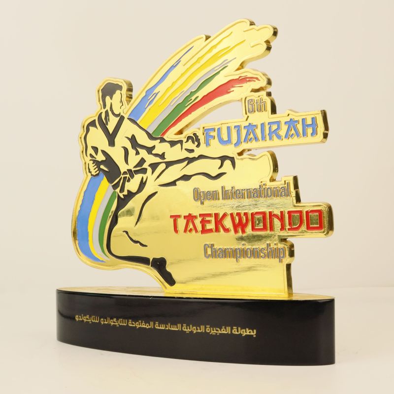 Taekwondo trophy