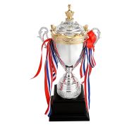 Sports trophy custom