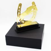 Horseshoe trophy