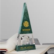 Outstanding supplier trophy