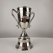 football fifa trophies​