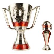 Champions League trophy custom