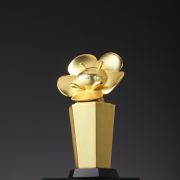 social media trophy​