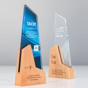 brain trophy