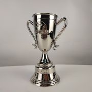 football fifa trophies​