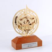 Rookie trophy