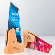 brain trophy