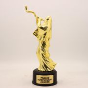 Effort achievement award