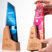 brain trophy