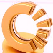 Best Partner trophy