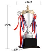 Sports trophy custom