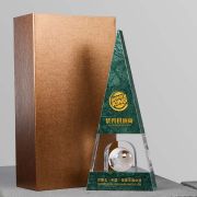 Outstanding supplier trophy