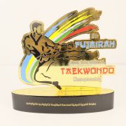 Taekwondo trophy