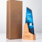 brain trophy