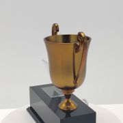 Company Race Souvenir Trophy