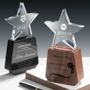 corporate trophies​
