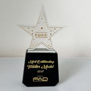 corporate trophies​