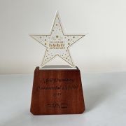corporate trophies​