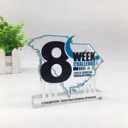 Badminton trophy