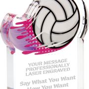 Volleyball trophy