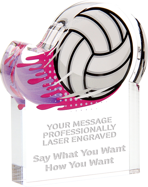 Volleyball trophy