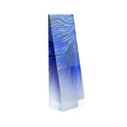acrylic trophy custom