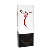 custom acrylic trophy