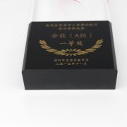 custom acrylic trophy