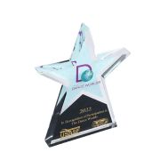 gold star trophies