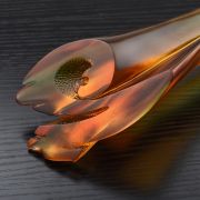 graphic design awards