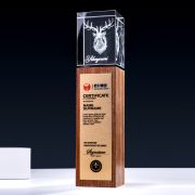 trophy awards manufacturing