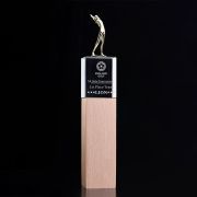 trophy lake golf​
