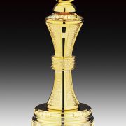 wonder city riddler trophies