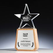 wooden trophy ideas