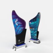 2024 trophies​