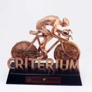 Bicycle Awards