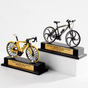 Bicycle Trophy
