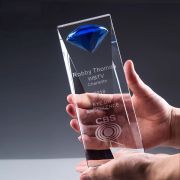 Blue Brick trophy