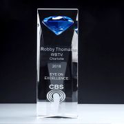 Blue Brick trophy