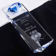 Blue Brick trophy