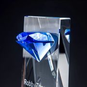 Blue Brick trophy